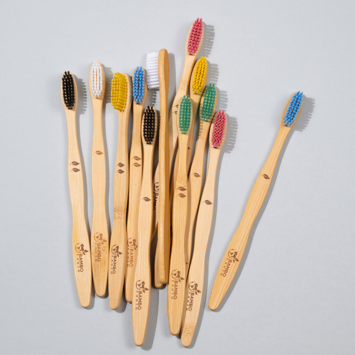 Bamboo Toothbrush Family Pack (BG)