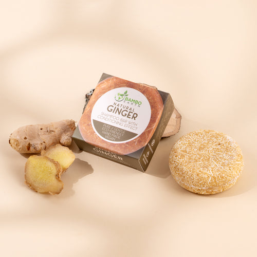 Shampoo Bar Mini Ginger (BG)