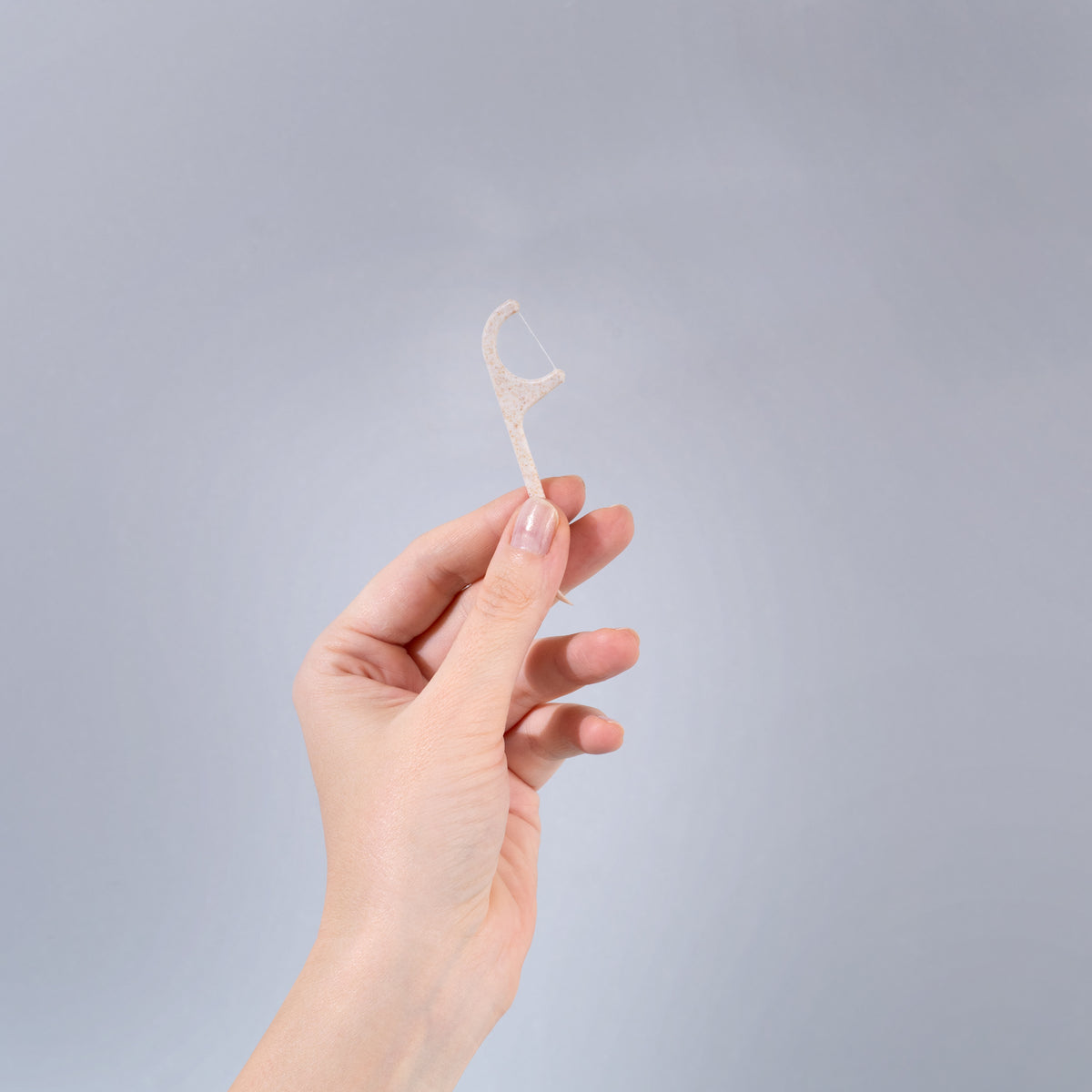 Floss Picks Mint (BG)