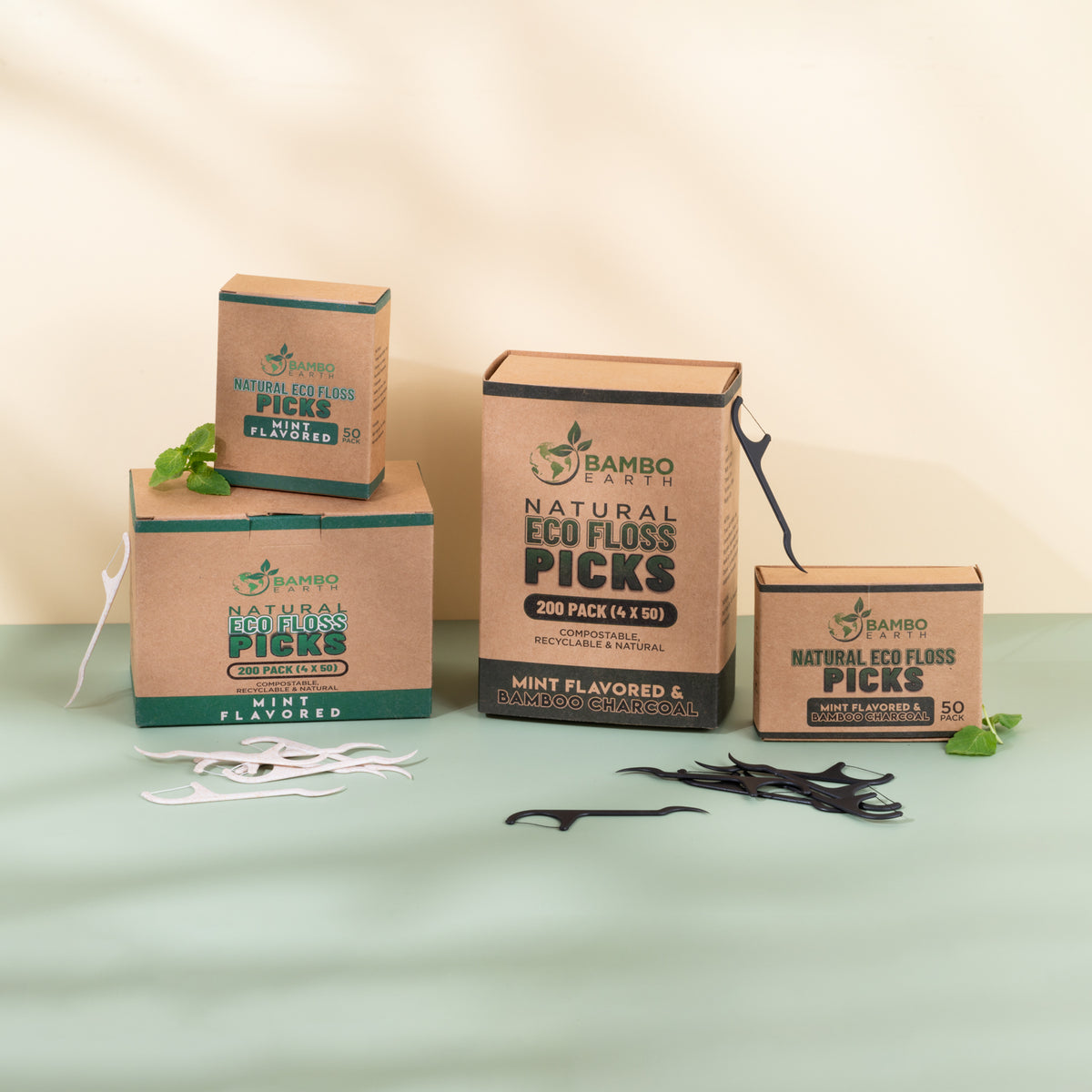 Floss Picks Charcoal & Mint 50 Pack (BG)