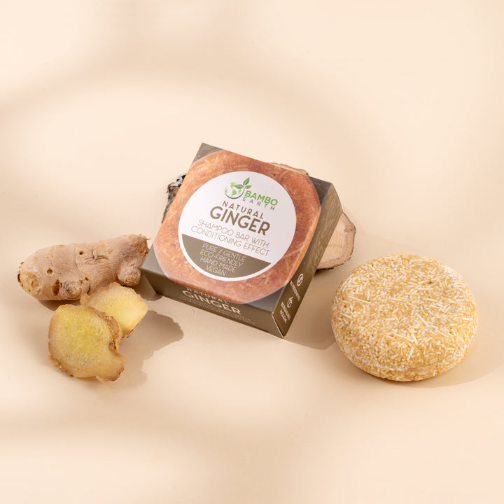 Shampoo Bar Mini Ginger (BG)