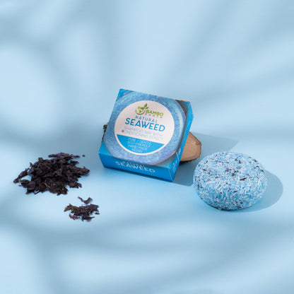 Shampoo Bar Mini Seaweed (BG)